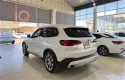 بي ام دبليو X5